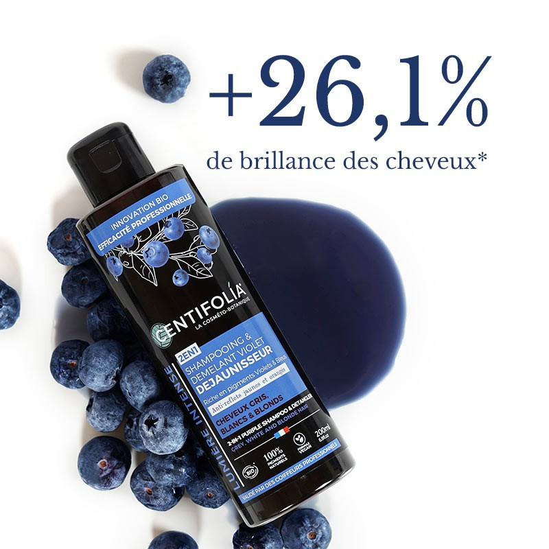 Shampooing Déjaunisseur 200 ml